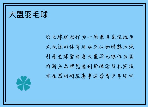 大盟羽毛球